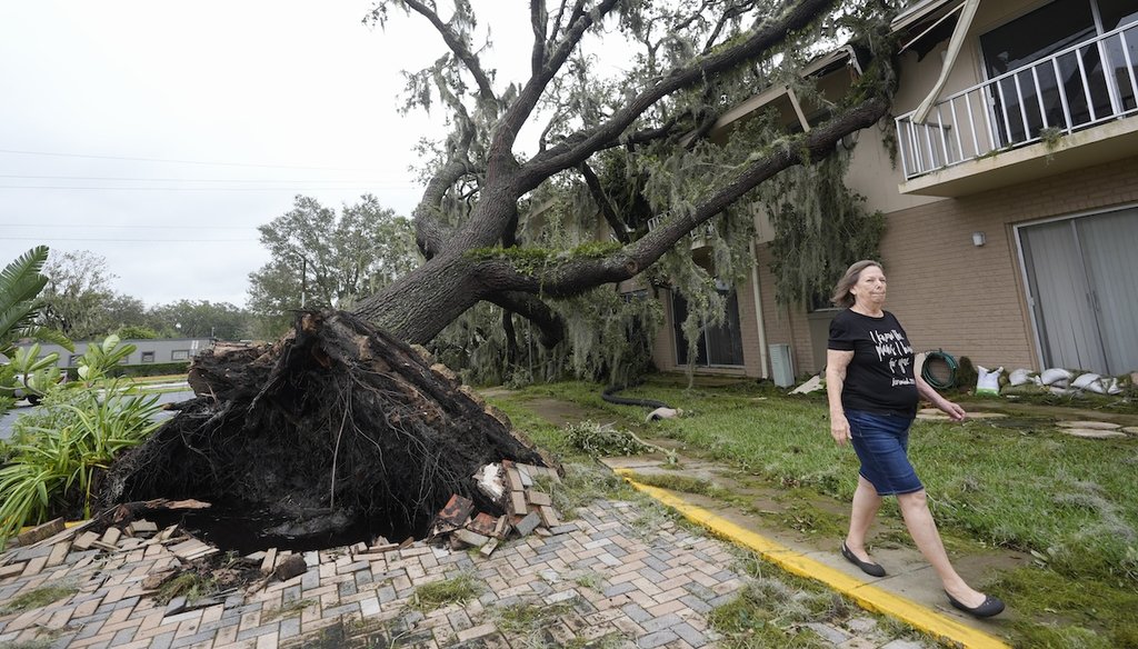 Joella Krzyzanski walks past a large oak tree that fell at her apartment complex after Hurricane Milton passed, Oct. 10, 2024, in Sanford, Fla. (AP)