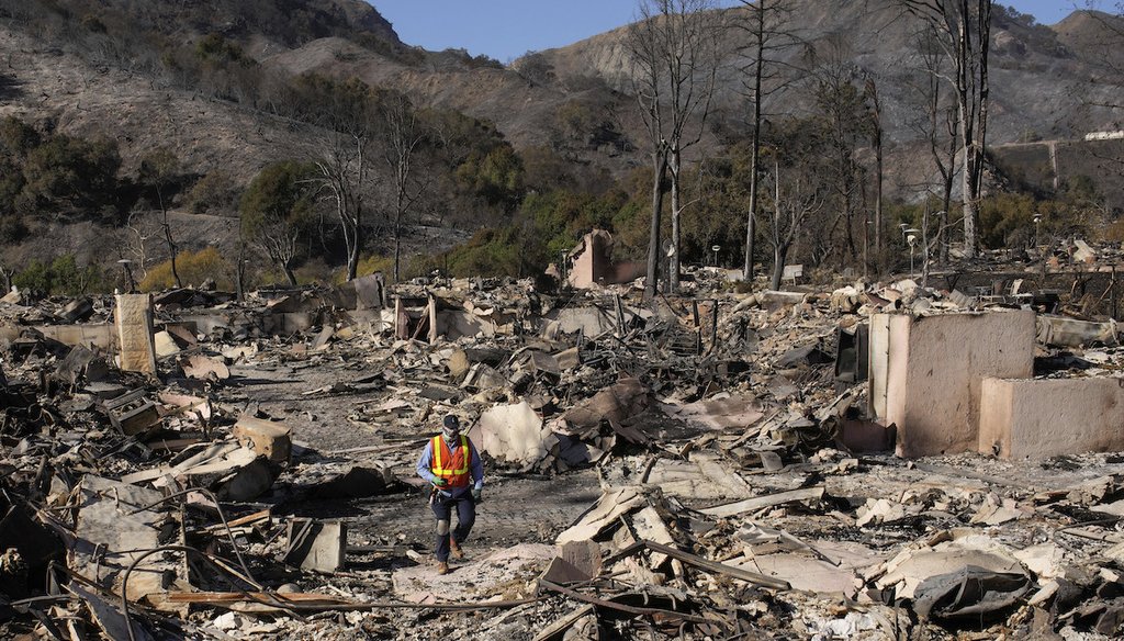 A worker surveys fire damage Jan. 13, 2025, in the Pacific Palisades neighborhood of Los Angeles. (AP)