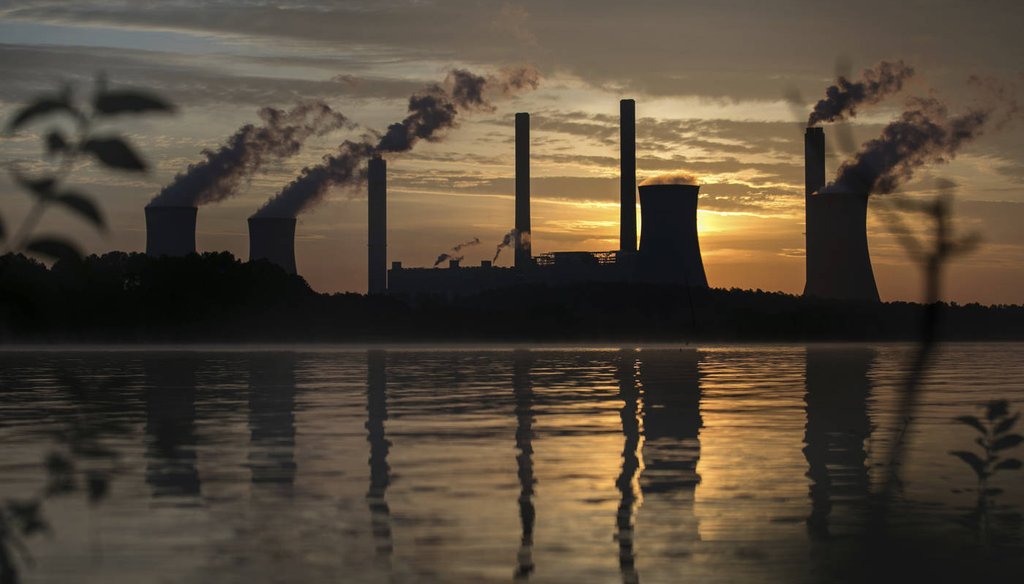 The coal-fired Plant Scherer, one of the nation's top carbon dioxide emitters, stands in the distance in Juliette, Ga., in June 2017. (AP)