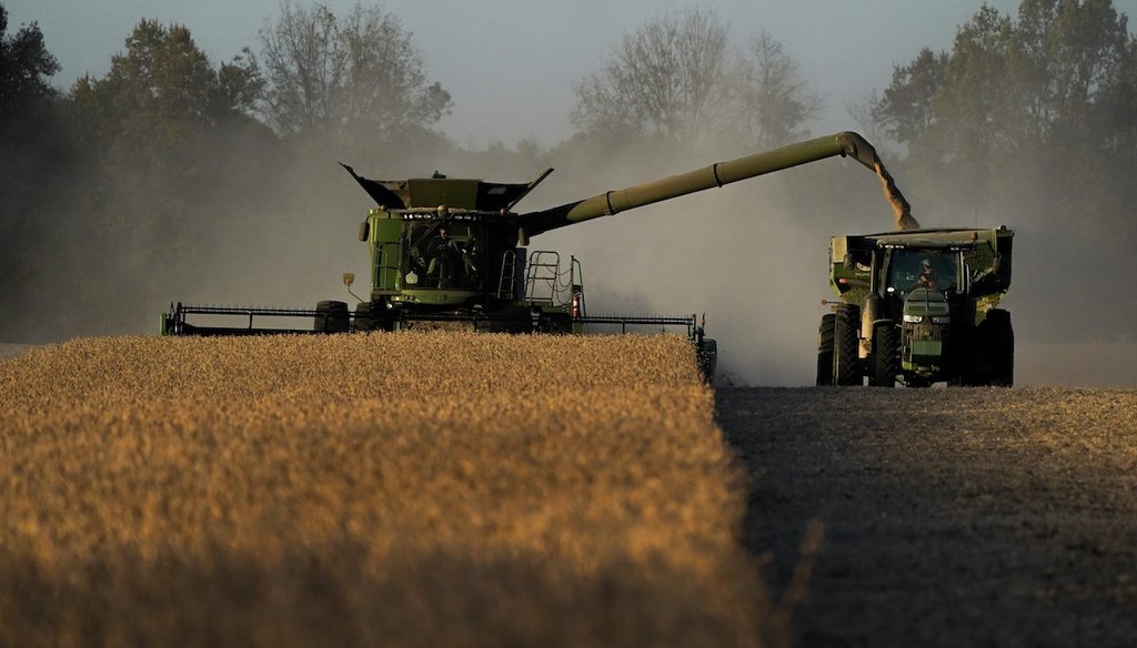 A combine is shown harvesting soybeans on Nov. 8, 2023, in Lynnville, Ky. (AP)
